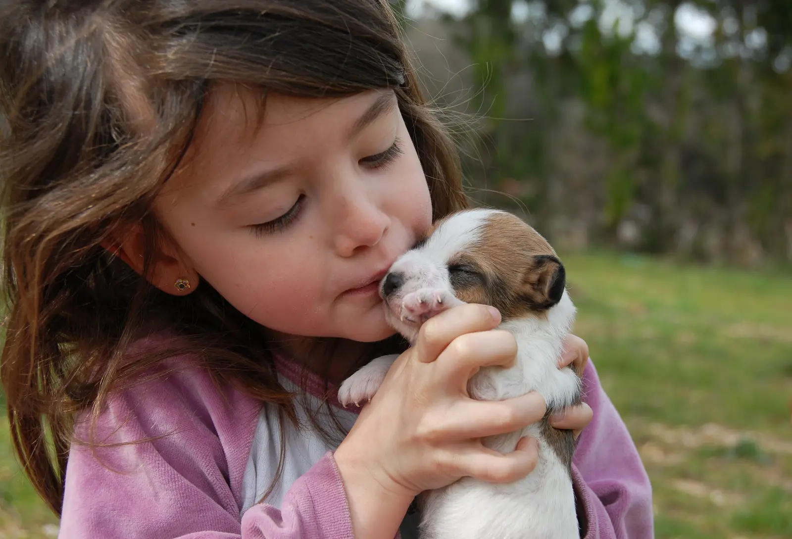 Jack Russell Terriers and Children Happy Jack Russell